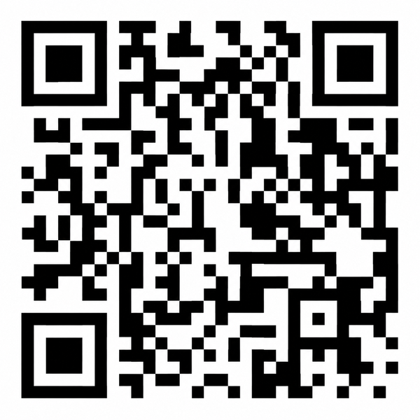 QR - The King Security